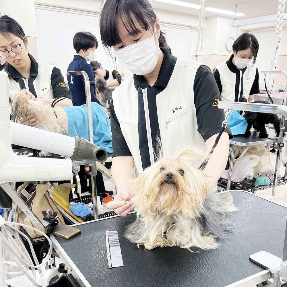 ２年生のトリミング実習♪